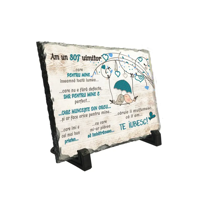 Am un sot uimitor, piatra ardezie personalizata, cu mesaj model pa032